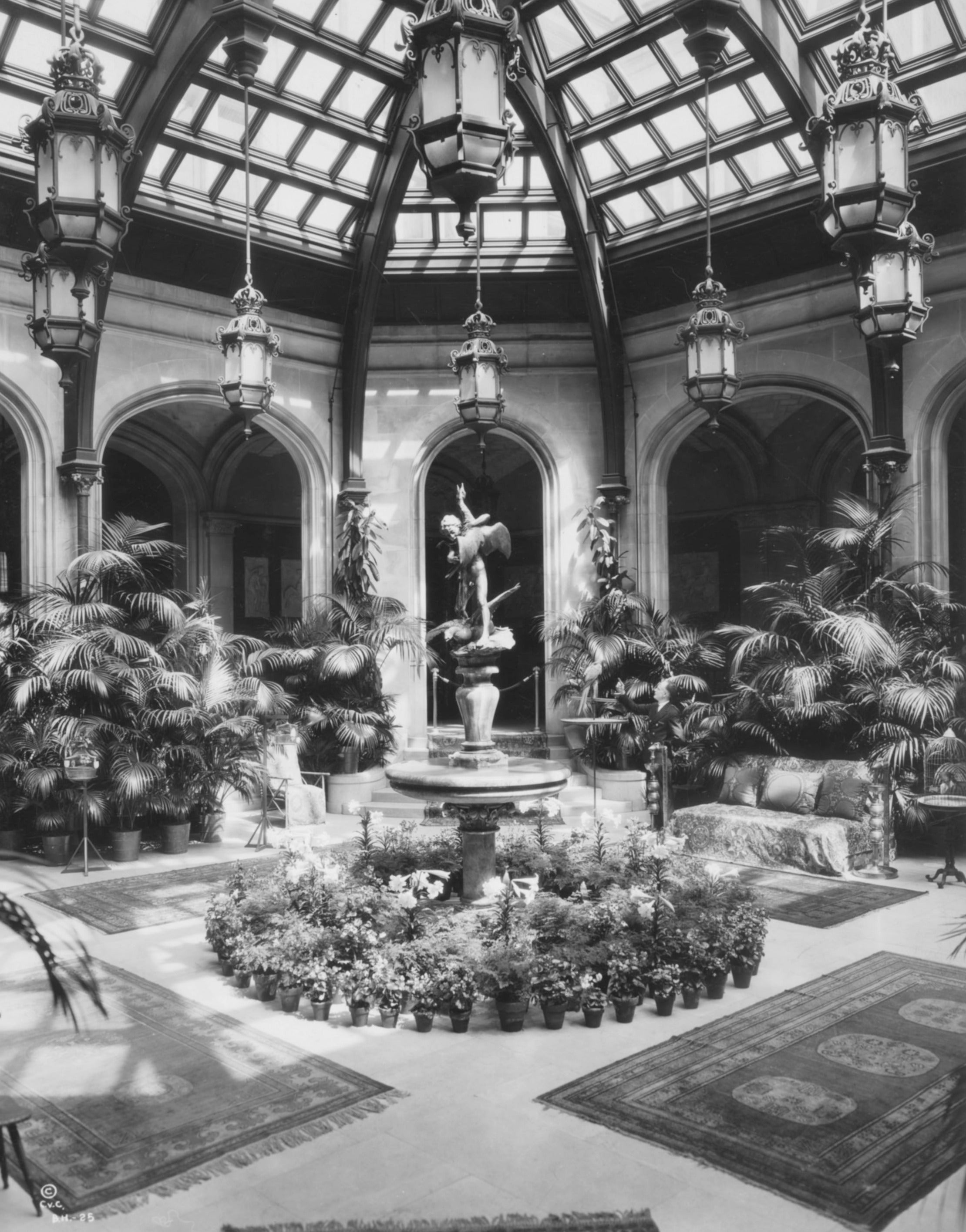 Historical photo of a sunny room filled with plants at Biltmore