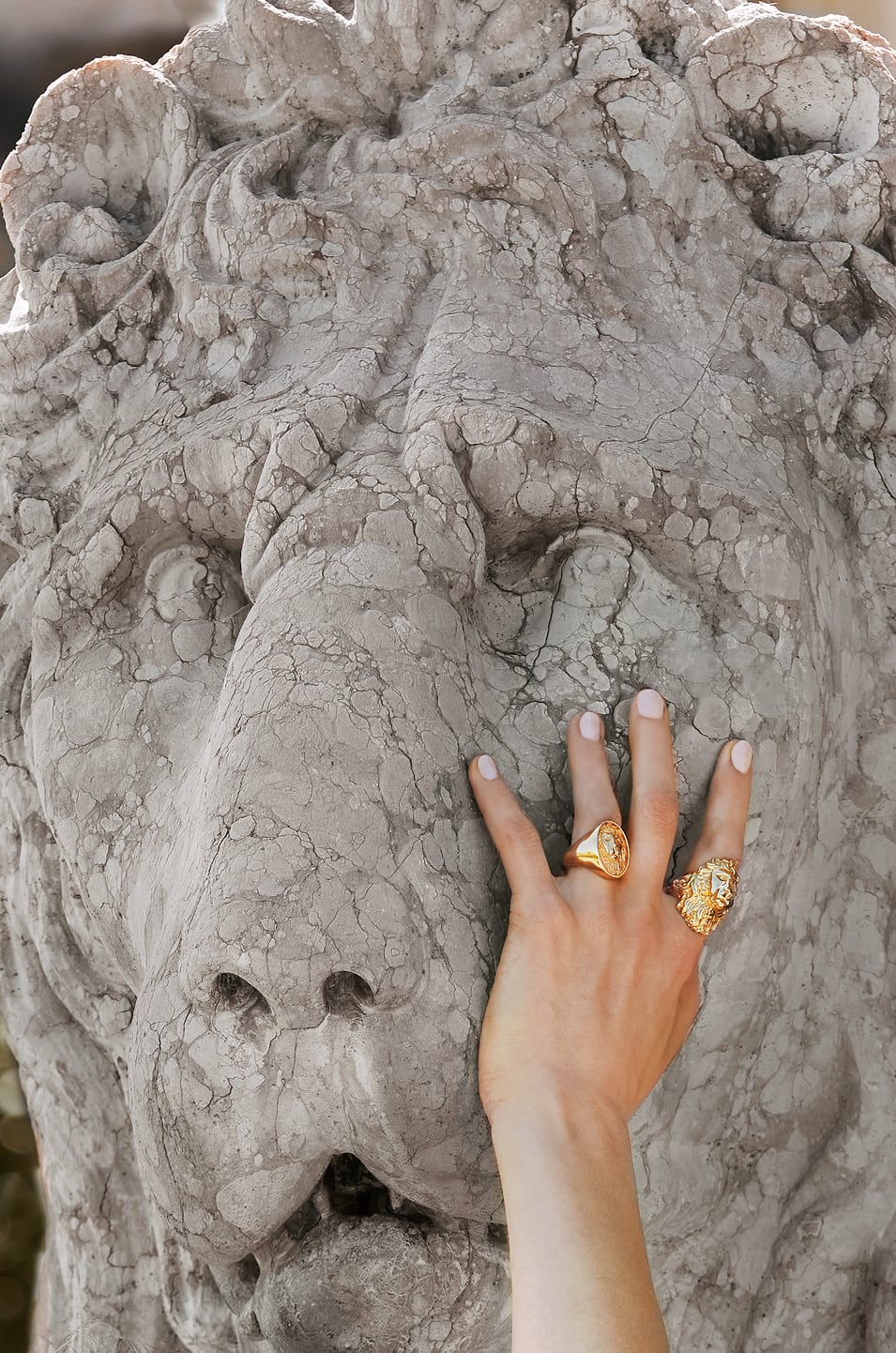 A hand wearing Commodore rings is shown in front of one of the Biltmore stone lions