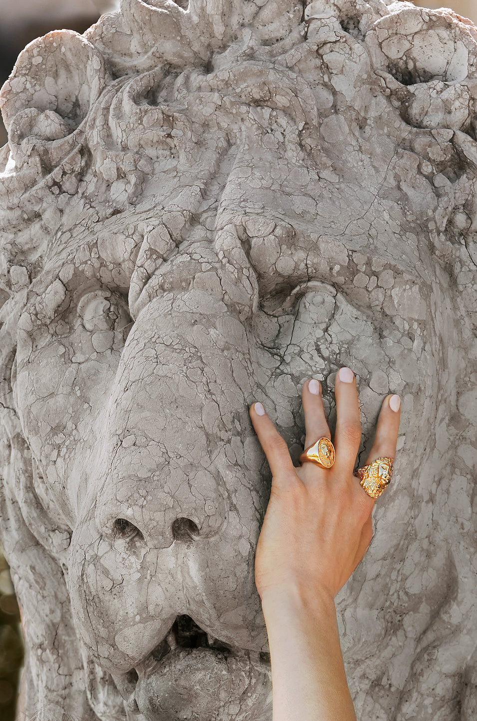 Image 4: Commodore signet ring in gold