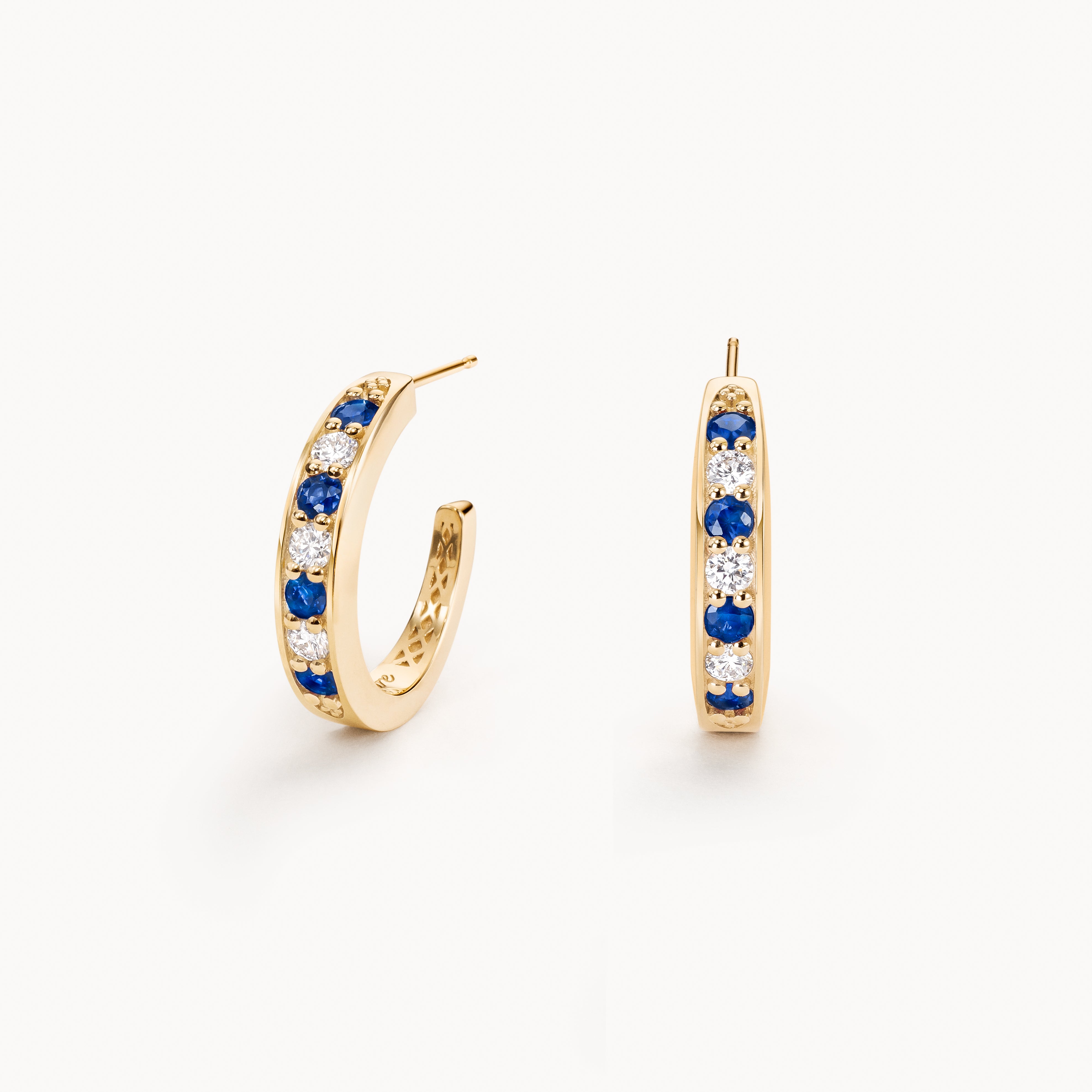 Stuyvesant earrings in diamond and sapphire