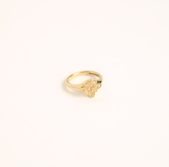 Oak Sitting pave star ring